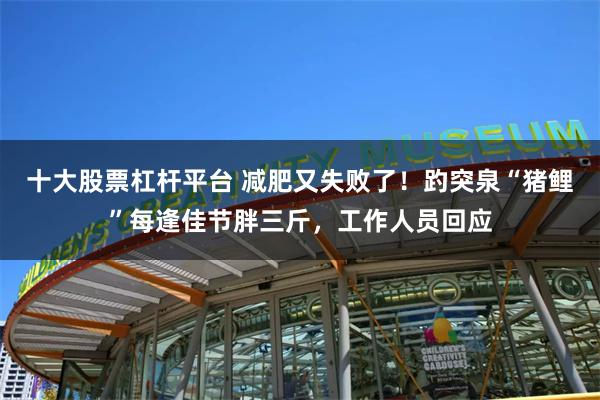 十大股票杠杆平台 减肥又失败了！趵突泉“猪鲤”每逢佳节胖三斤，工作人员回应