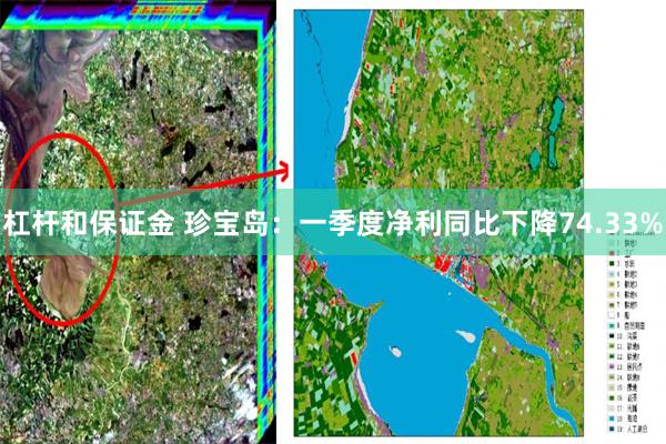 杠杆和保证金 珍宝岛：一季度净利同比下降74.33%
