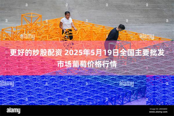更好的炒股配资 2025年5月19日全国主要批发市场葡萄价格行情