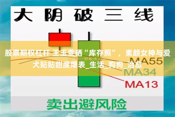 股票期权杠杆 王玉雯晒“库存照”，素颜女神与爱犬贴贴甜度爆表_生活_狗狗_治愈