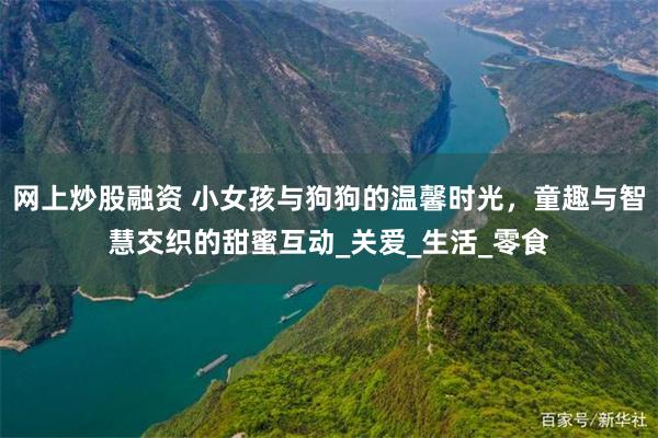 网上炒股融资 小女孩与狗狗的温馨时光，童趣与智慧交织的甜蜜互动_关爱_生活_零食