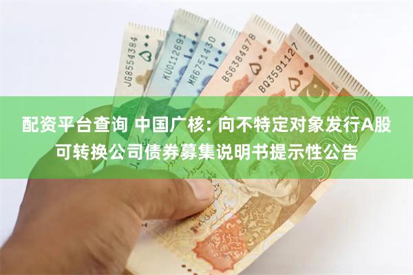 配资平台查询 中国广核: 向不特定对象发行A股可转换公司债券募集说明书提示性公告