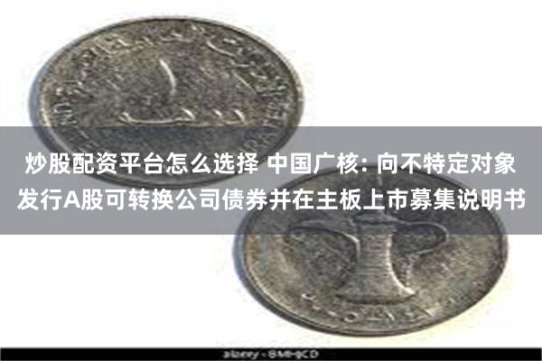 炒股配资平台怎么选择 中国广核: 向不特定对象发行A股可转换公司债券并在主板上市募集说明书